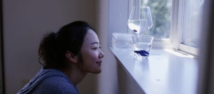 a-bride-for-rip-van-winkle-2016-dc-br720p-x265-er-mkv_snapshot_02-49-31_2016-09-18_15-04-38