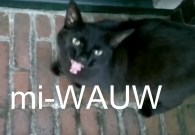 miWAUW.jpg